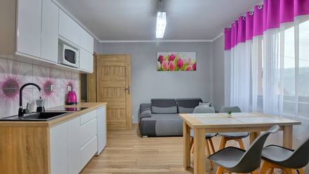 Domek na Wzgórzu w Muszynie (1)