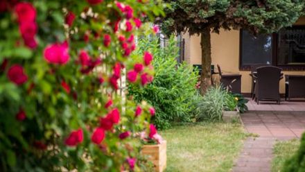 apartament do wynajęcia (1)