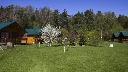 Domki Letniskowe Renata w Krynicy Morskiej (1)