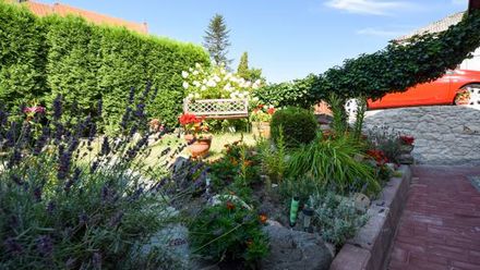 Pokoje w Centrum Podgórna (1)