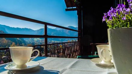 Dom na Zielonym Wzgórzu (1)