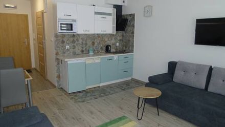Apartament z miętą (1)