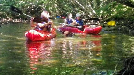 Domek na Mazurach Leśne Zacisze (1)