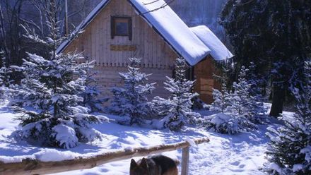 Leszczynowy Stok (1)