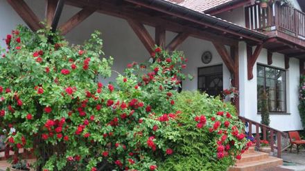 Agroturystyka Chwałowo (1)