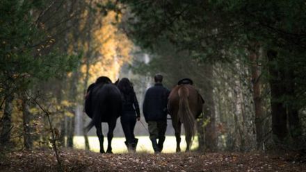Baśniowe Chaty Hobbitów w Ośrodku Jeździeckim Skręt (1)