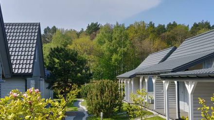 Domki letniskowe MAGNOLIA (1)