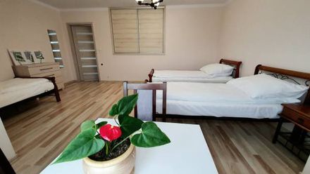 Noclegi pod Magnolią (1)