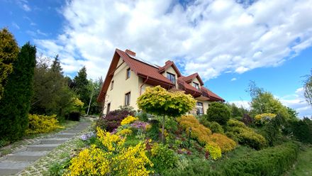 Zielone Wzgórze (1)