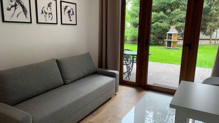 Apartamenty Orla (1)