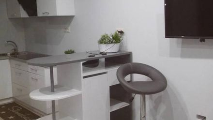 Domek Letniskowy/Apartament Londyn (1)