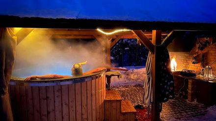 Pokoje do wynajęcia U Rycha (1)