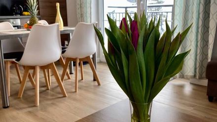 Apartament Prestige (1)