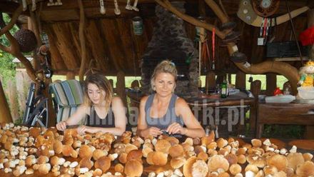 Pokoje Gościnne u Mirka i Dorotki (1)