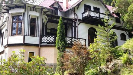 Willa Liczyrzepa (1)