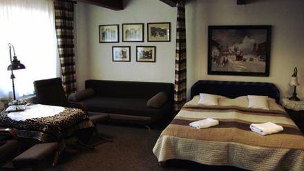 APARTAMENT Z KOMINKIEM I ELEGANCKIE POKOJE U ŚLIWÓW (1)