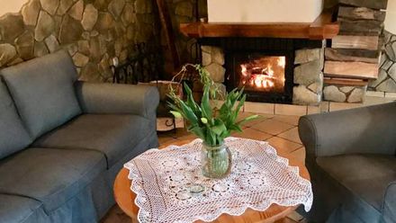 Pięknie położony dom górski do wynajęcia "Sudecka 100" (1)