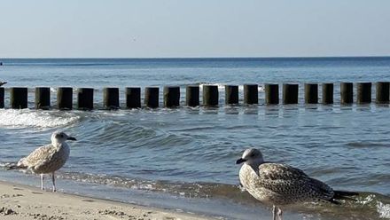 Apartamenty Zuza (1)