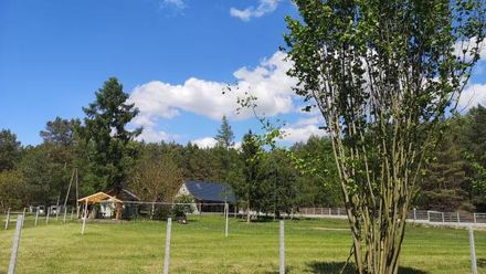 Agroturystyka PLENER (1)