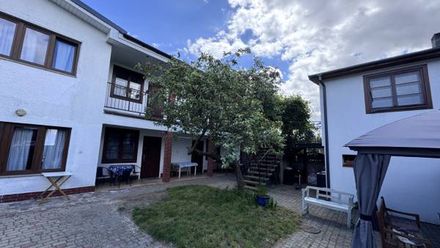 White Frog Dziwnów (1)