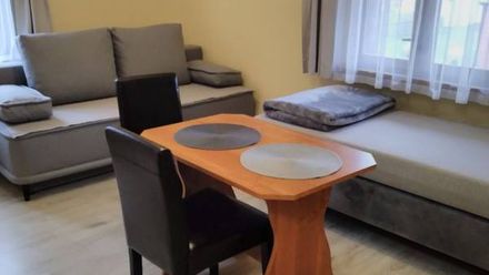 Dom Gościnny Pod Modrzewiem (1)