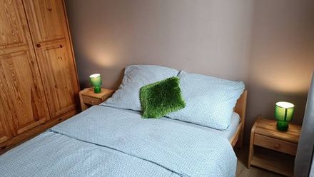 Willa Róża - 1 km od Energylandii (1)