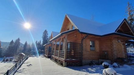 Borowikowe Zacisze (1)