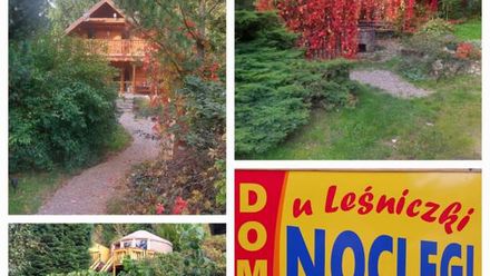 Domki i Jurta u Leśniczki (1)