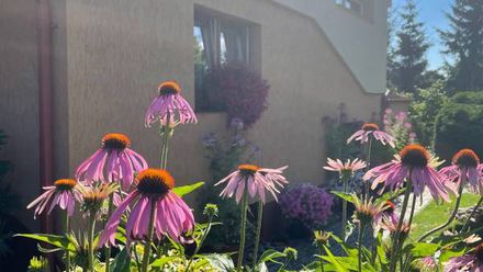 Pokoje Gościnne Wanda (1)