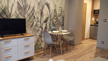 Apartamenty Dębowy Zakątek w Dolinie Baryczy (1)