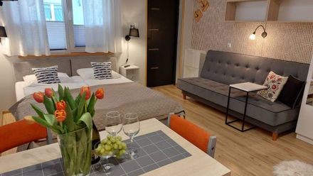 Apartamenty & Mieszkanie Wakacyjne (1)