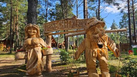 Leśne Chatki Borsk (1)