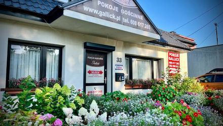 Pokoje Gościnne Gallick (1)