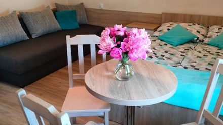 Dom Wypoczynkowy Danuśka (1)