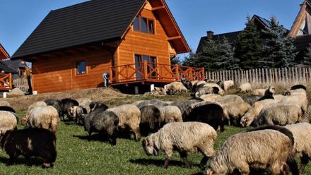 Spokój z Widokiem (1)