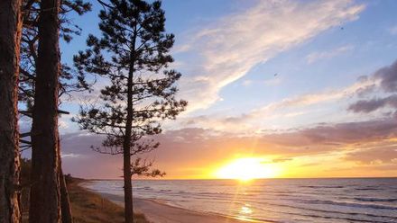 Pokoje Gościnne Przy Wydmie (1)