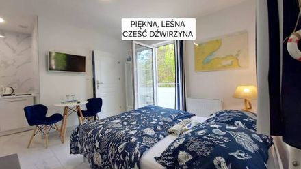 Astoria pokoje i apartamenty. (1)