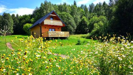Domki w Bartnicy Góry Sowie (1)