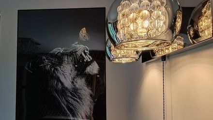 Aster Aparts Wyspa Sobieszewska (1)