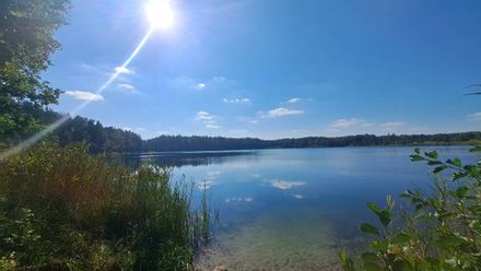 Przyleśne Chatki Blisko Jeziora - Mazury (1)