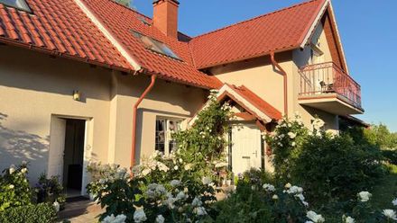 Willa Bukszpanowa (1)