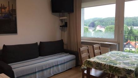 Apartamenty, kwatery, noclegi (1)