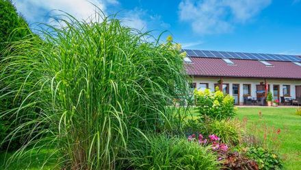 Apartamenty Gaja (1)