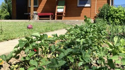 Domek i apartamenty w Mikołajkach (1)