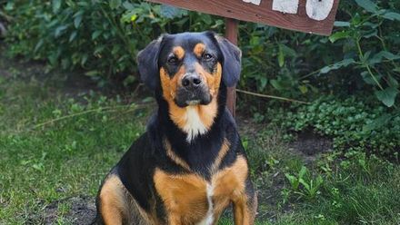 Ranczo Przyłęk (1)