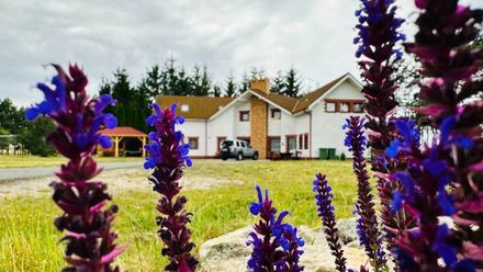 Między Nami a Sosnami Uniejów (1)