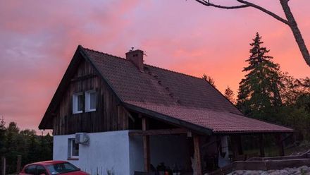 Król Puszczy nad jeziorem Mokre (1)