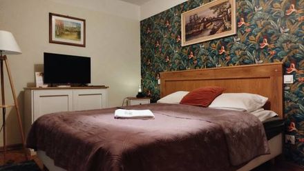 Willa Pod Basztą (1)