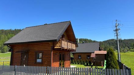 Domek pod lasem u Dariny (1)