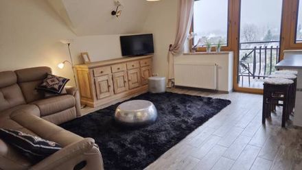 Apartament Podkowa (1)